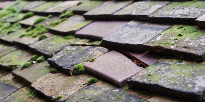 Sundridge roof repair costs